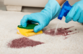 Remover Manchas em Carpetes