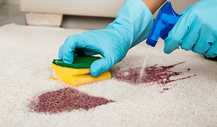 Remover Manchas em Carpetes